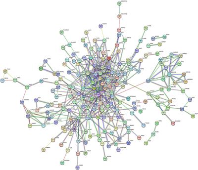 Exploring the potential targets of the Abrus cantoniensis Hance in the treatment of hepatitis E based on network pharmacology